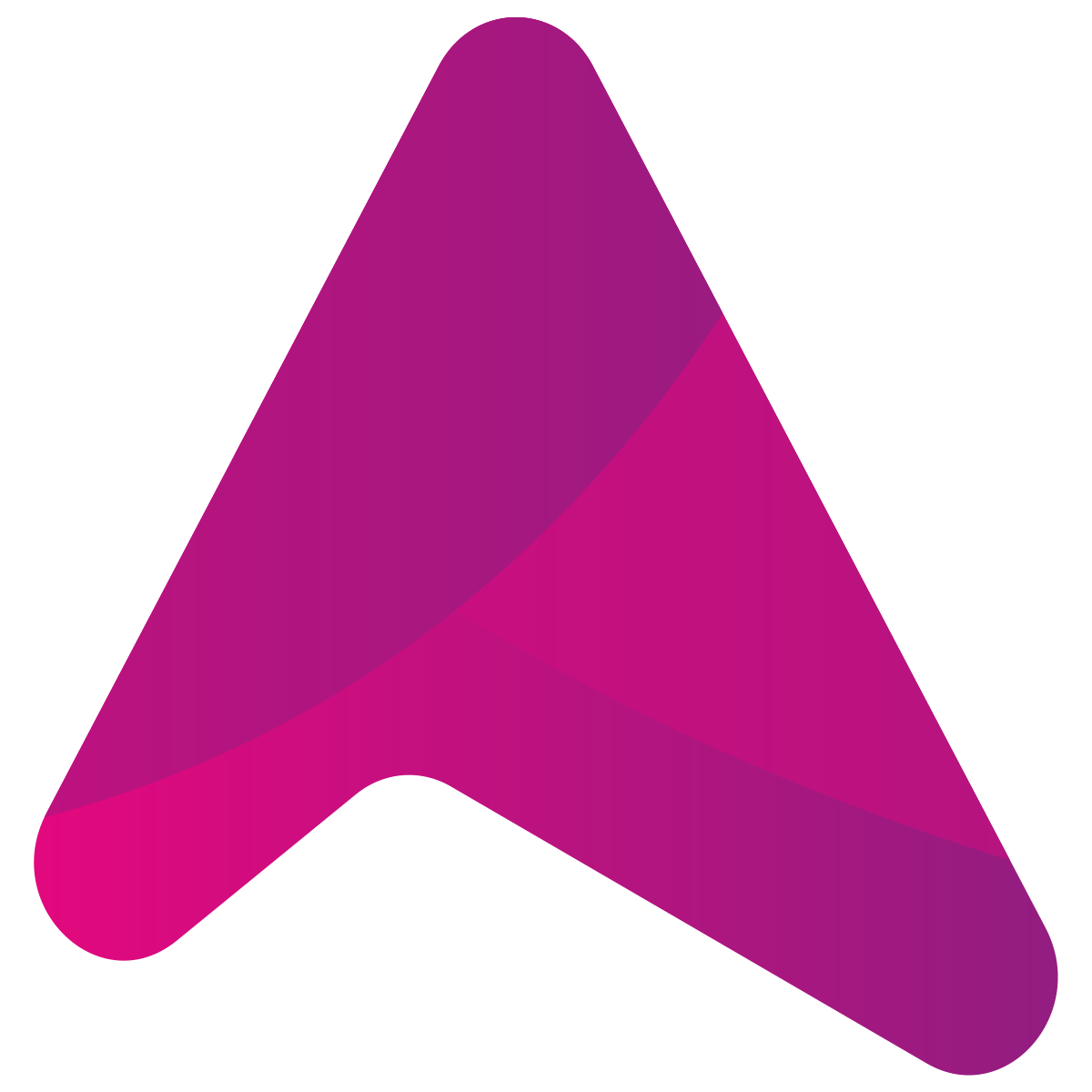 Aurora Team