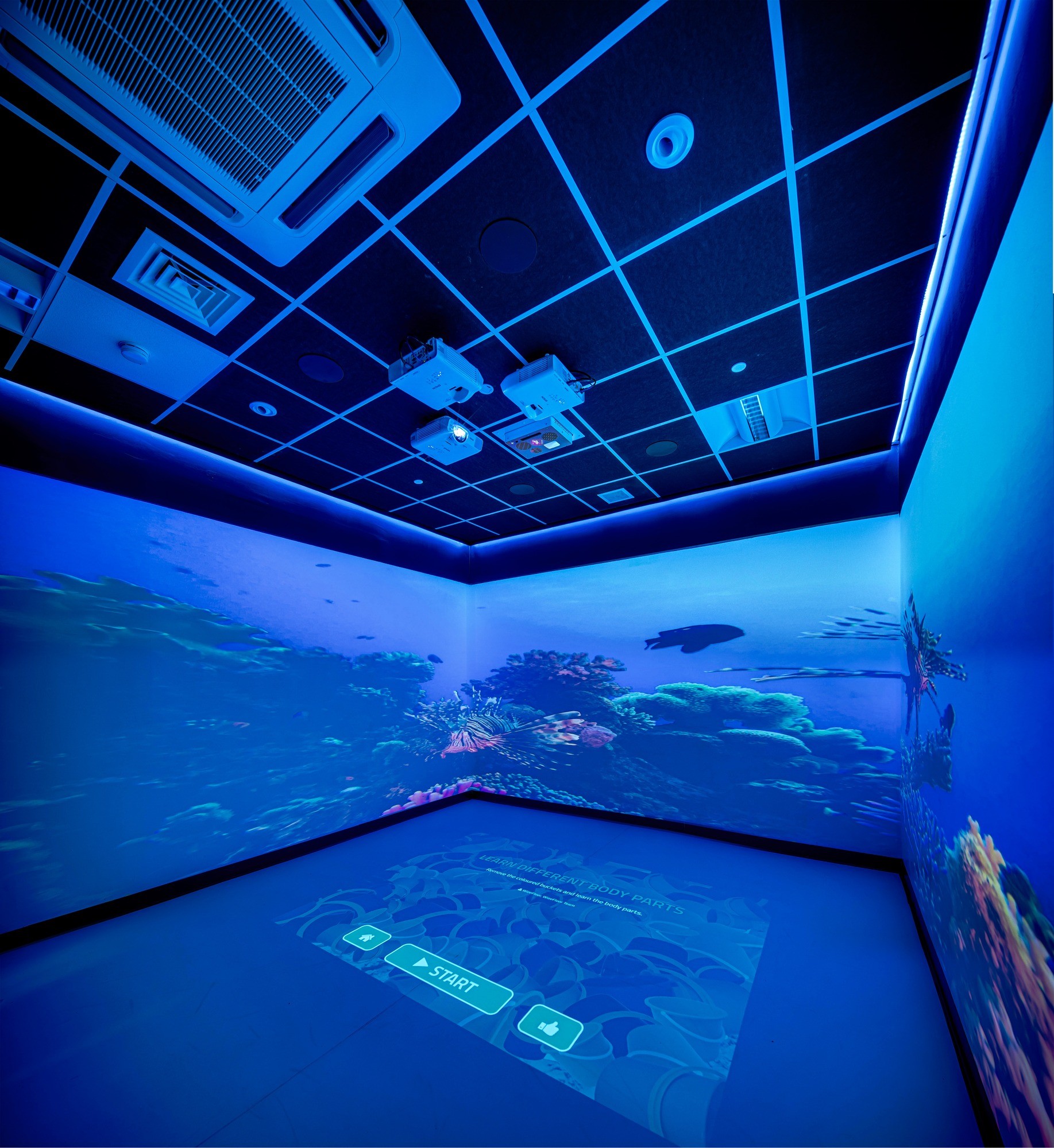 Epinay School Immersive Room Transforms Learning for SEN Students