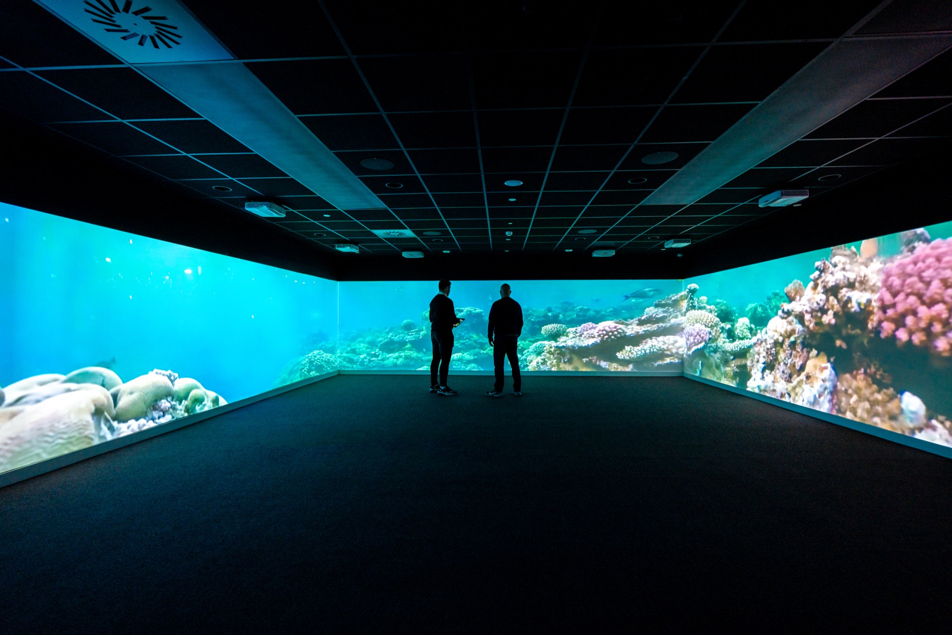 Two people stand in a dark room surrounded by vivid underwater projections of colorful coral reefs, creating a serene and immersive atmosphere.