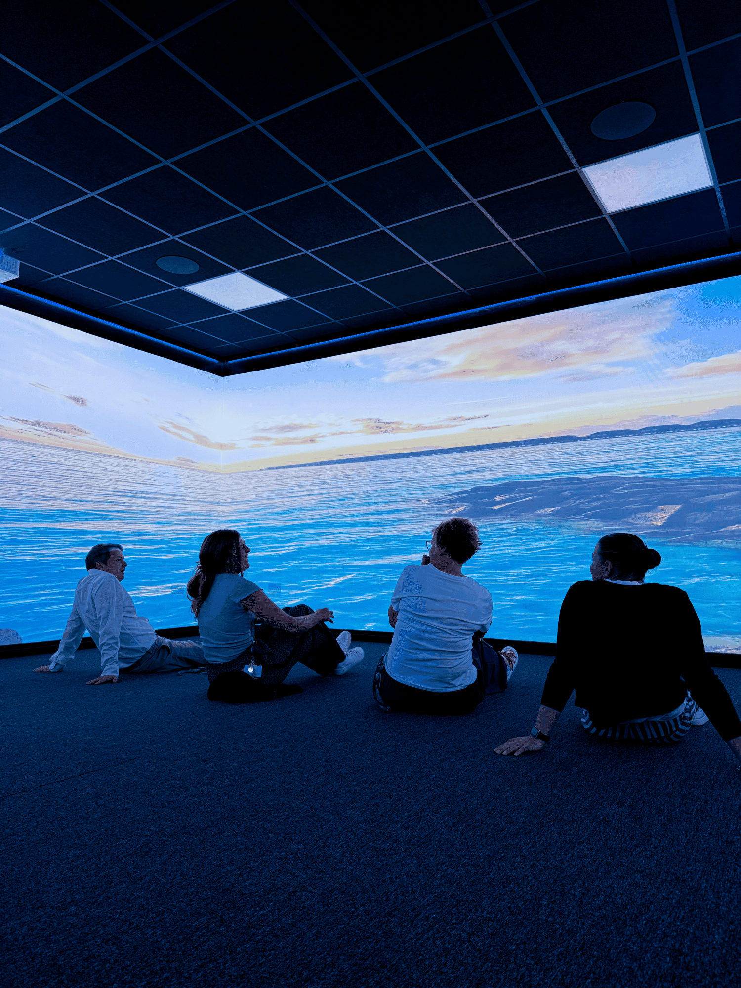 Group of adults sitting on the floor of an darkened room with immersive wall projections of a coral blue seascape.