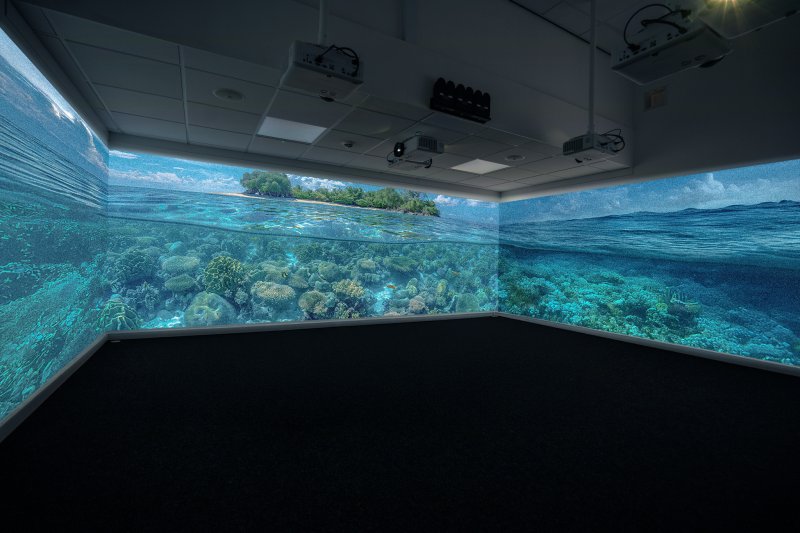 An immersive room displays a vibrant underwater scene with coral reefs and a distant island view, creating a serene and expansive oceanic atmosphere.