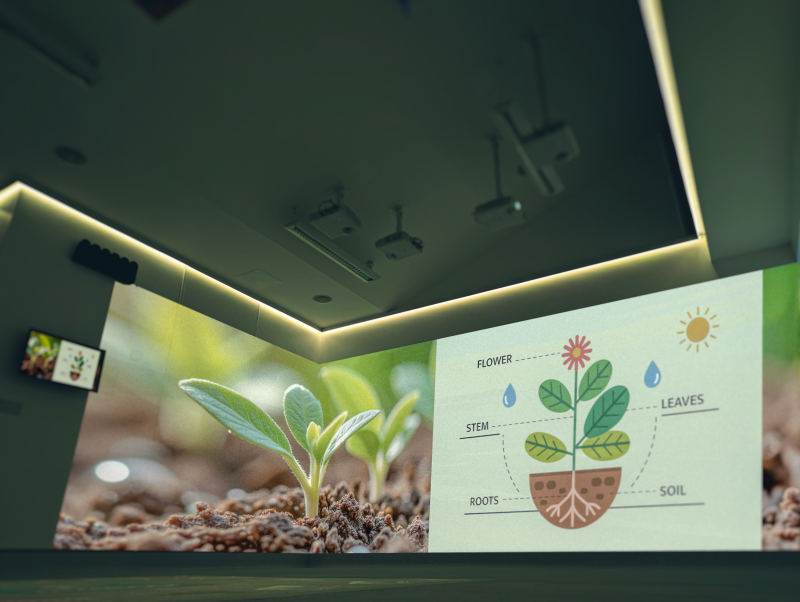 Immersive projection room projects sprouting seedlings and a labeled plant diagram showing flower, leaves, stem, roots, soil, sun, and water.