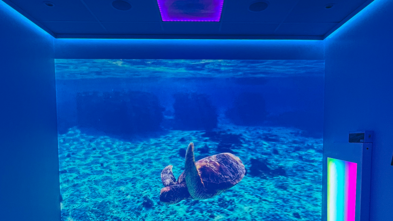 Immersive blue underwater room with a sea turtle resting on the ocean floor; glowing purple ceiling panels create a calm, dreamlike atmosphere. There is a tactile sensory wall panel lit with rainbow colours.
