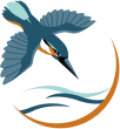 Teddington school logo of kingfisher over water.